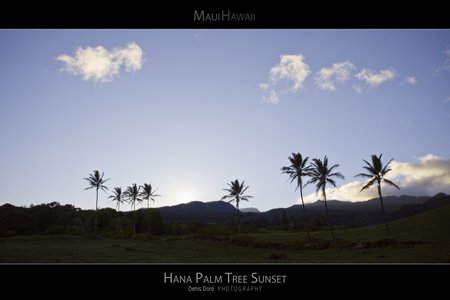 Maui Hawaii Sunset Posters